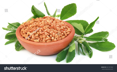 nursing breastfeeding supplements - fenugreek