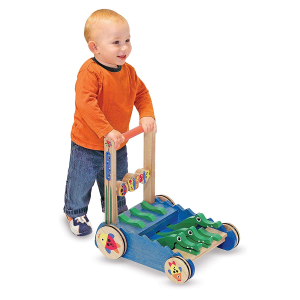 push toy_toys for twin babies