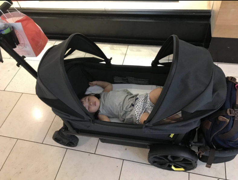 veer wagon with sleeping baby