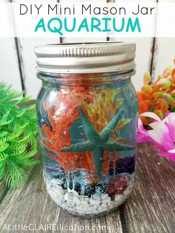 DIY aquarium